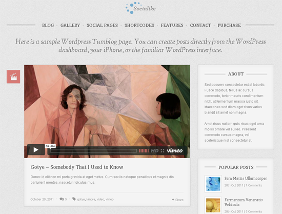 Sociallike WordPress Theme