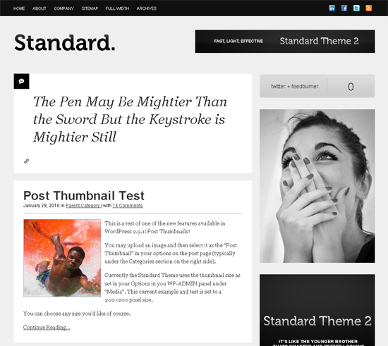 Standard Theme For WordPress