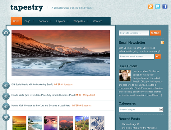 Tapestry Tumblog Theme