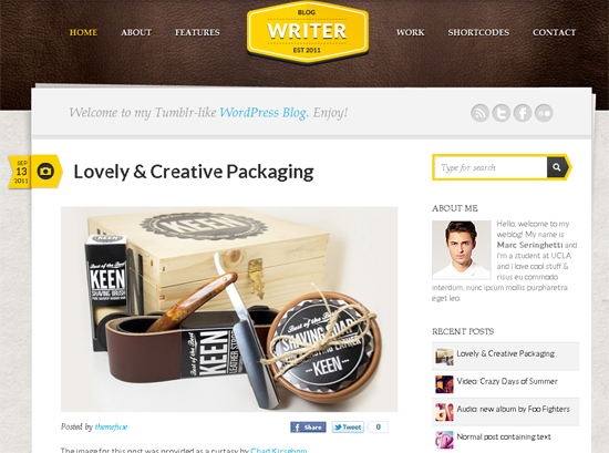 Writer WordPress Theme