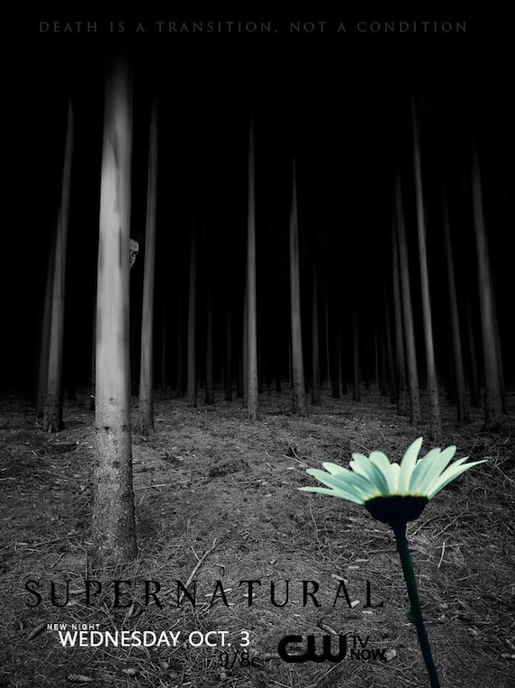 《凶鬼恶灵》第8季海报