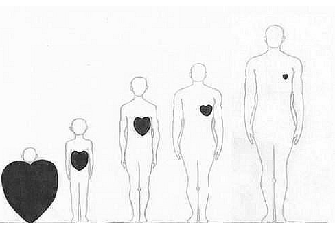 人生哲理漫画：看懂这世界