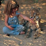 森林女孩Tippi与她的野生动物朋友