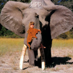 森林女孩Tippi与她的野生动物朋友