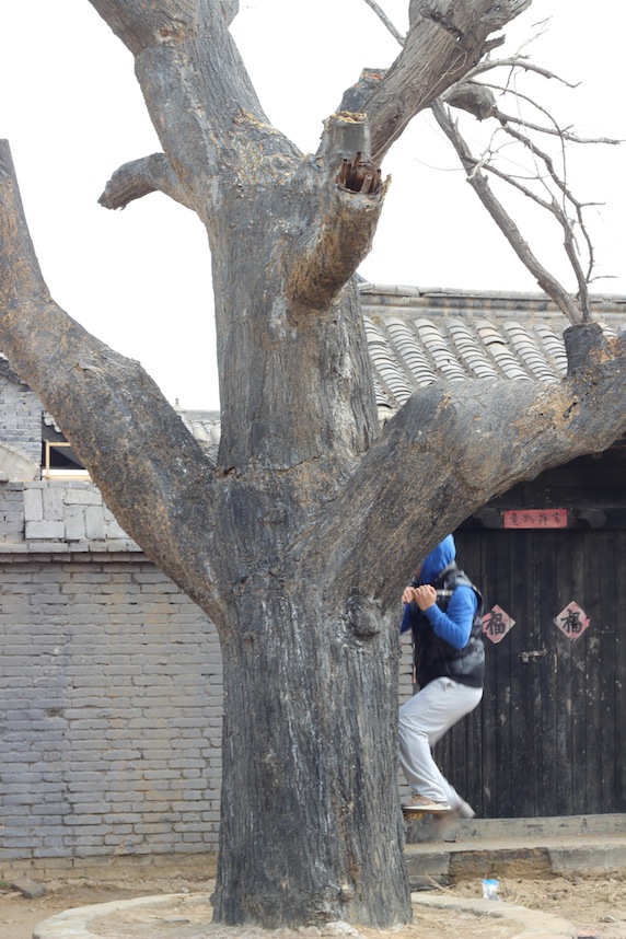 八一影视基地真人CS