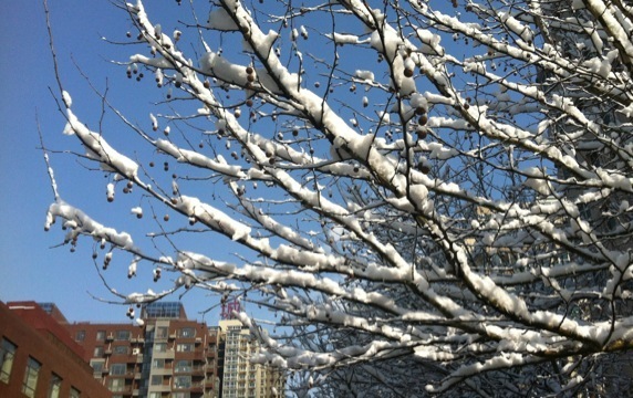 随手拍都是美景