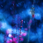 二十四节气之立春
