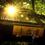 二十四节气之大暑