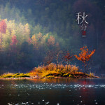 二十四节气之秋分