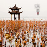 二十四节气之寒露