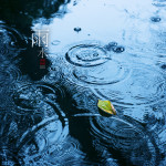 二十四节气之雨水