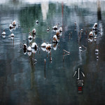 二十四节气之小雪