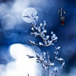 二十四节气之小寒