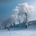 二十四节气之大寒