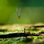 二十四节气之惊蛰