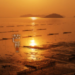 二十四节气之芒种