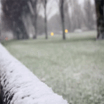 Cinemagraphs 动态gif图片14