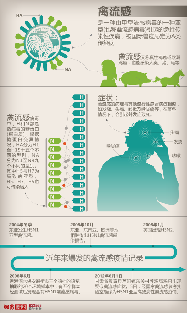 禽流感介绍