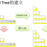 Fractal Tree的建立