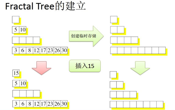 Fractal Tree的建立