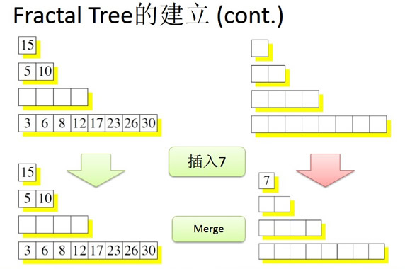 Fractal Tree的建立 (cont.)