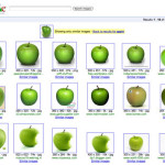 Google图片相似搜索