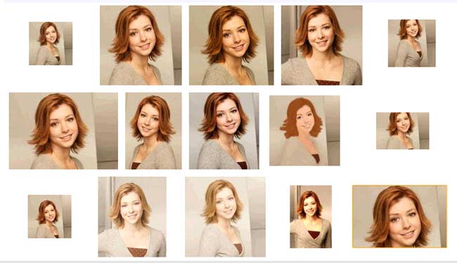 相似图片搜索结果