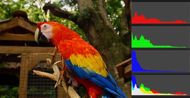 颜色分布的直方图