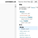 WordPress编辑主题js文件