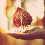 凌乱的心散落一地