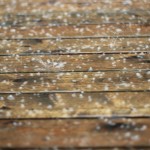 长白山雨加冰雹