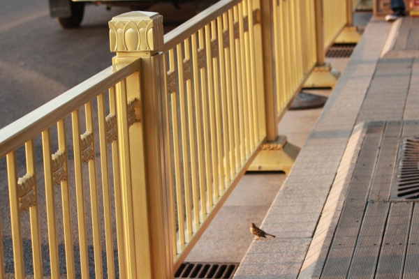 national-day-riding-04