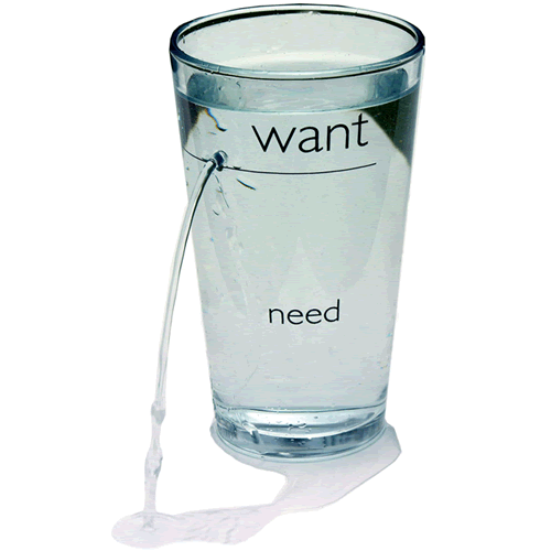 杯子和水的爱情