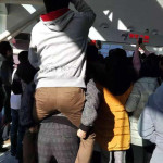 苍老师现身京东5